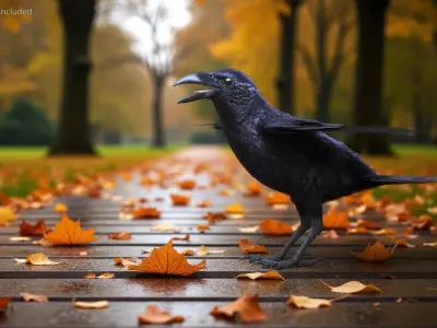  Crow Wild Bird Species Black 