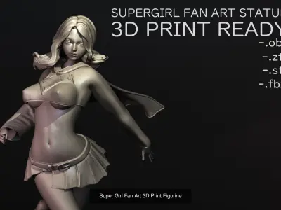 Super Heroine FanArt Set 1 by Takai 3D Model Pack