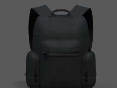 Backpack bag baggage Color 3d low poly Low-poly  Low-poly 3D model 2