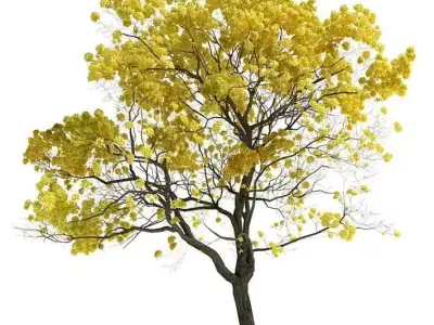 Yellow Leaf Tree 3D model