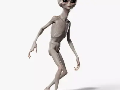 Humanoid Grey Alien - Rigged Low-poly 3D model