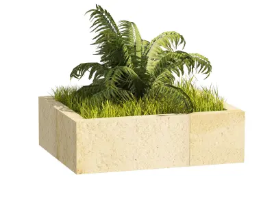 3 Street swordfern border plant Low-poly 3D model