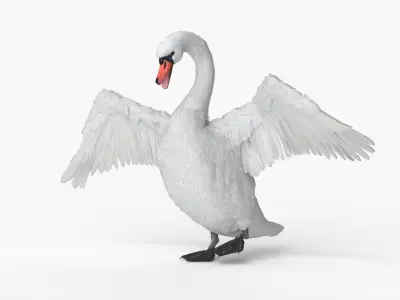  White Swan Rigged 
