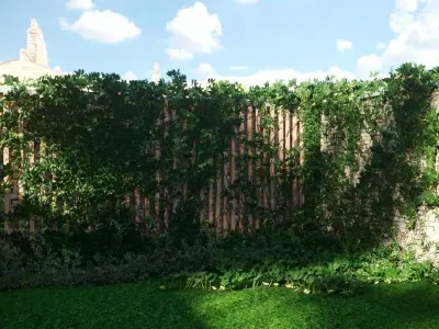Exterior fencing - VIne - Ivy -brick wall 3D model