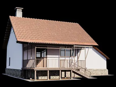 Village House 3D model
