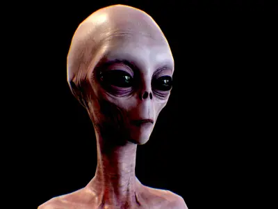 Realistic Alien 4 Grey Low-poly 3D model