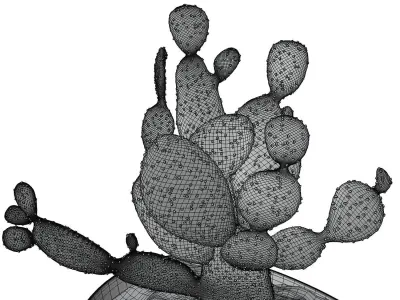 Decorative vases set with cactus HG2 3D model