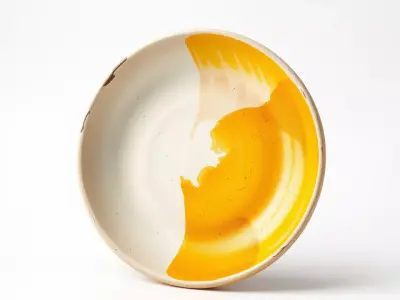 Sunny Ceramic Plate model pack Low-poly 3D model