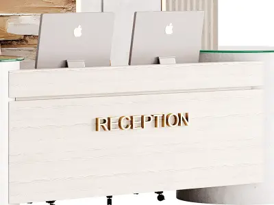 Contemporary Reception 16 3D model