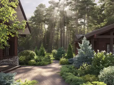 Plants Collection 1 3D model