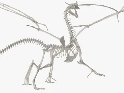  Fantasy Dragon Creature and Skeleton Rigged for Cinema 4D Collection 