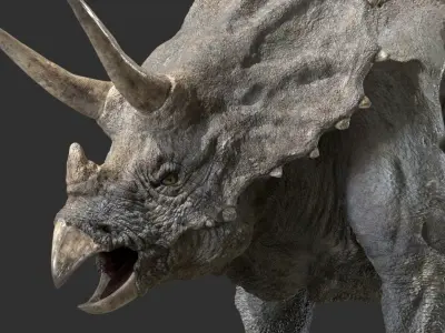  triceratops 3D 