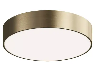 Ceiling lamp Aployt Evon 3D model