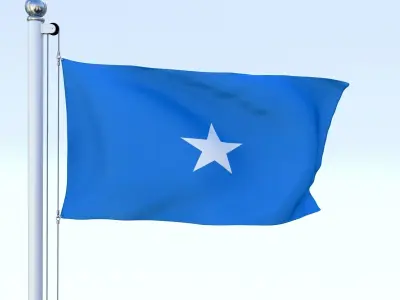 Animated Somalia Flag Low-poly 3D model