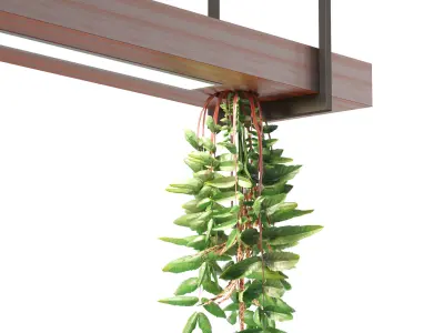 Pendant light with hanging plant FalseSpirea Low-poly 3D model