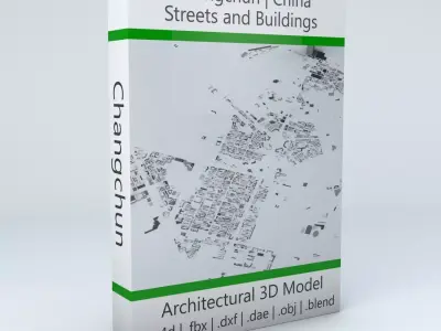 Changchun Streets and Buildings 3D model