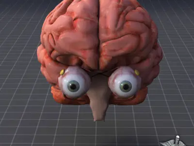 Eye and Brain 3D model