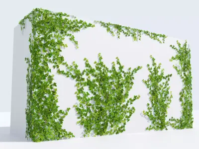 LowPoly Ivy wall Low-poly 3D model