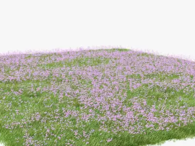 Pink Wild Flower Field 3D model