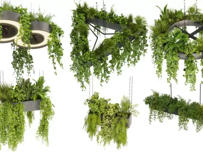 Collection plant vol 03 - pothos - hanging - ampelous 3D Model Pack