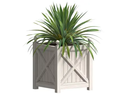 Plant in Wood Plant Box Timber wood planter 3D model