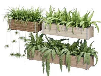 Banded Redwood Window Box 3D model