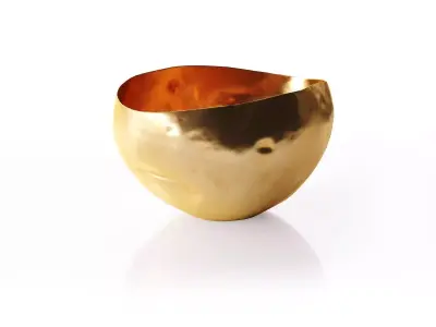 Bash Vessels 3D model