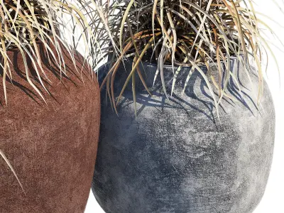 Ronan Ficonstone Indoor 3D model