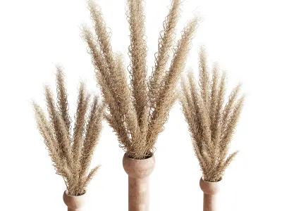 Dry Flowers Bouquet Vase 07 3D model