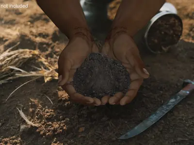  Afro American Hands Holding Soil 