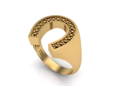 Jewelry ring 220 3D print model