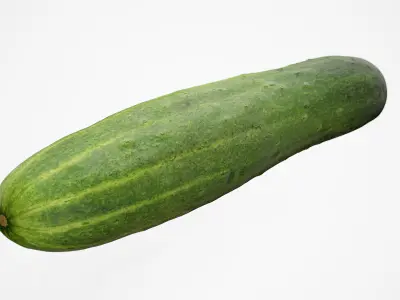 Cucumber - Photorealistic Scan Low-poly 3D model