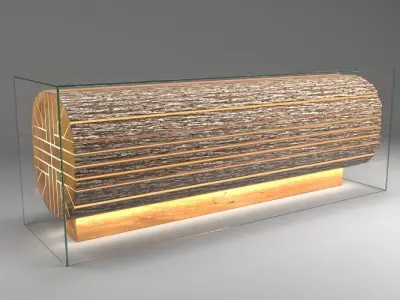 Reception Desk - Sliced Log In Glass Box With Inner Lights 3D model