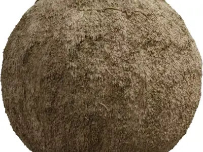 Thatch Roof Texture