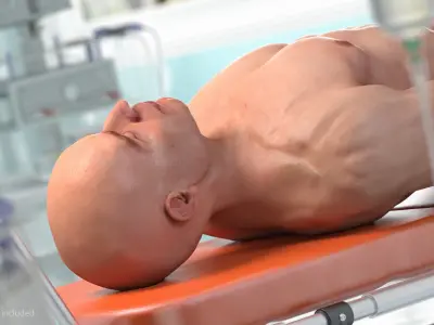  Male Body Anatomy Collection 