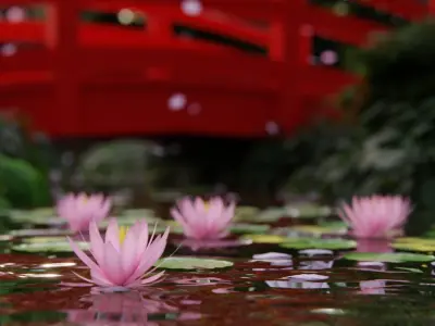 Japanese Garden 3d Scene 3D model