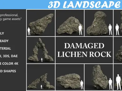 Low poly Damaged Lichen Rock 190907 Low-poly 3D model