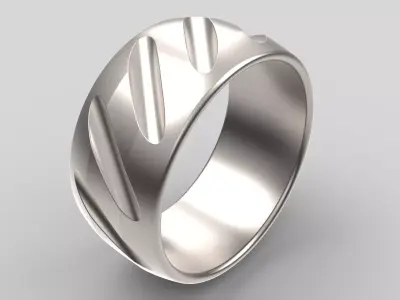 Titanium Ring Free 3D model