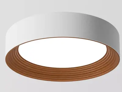 Modern Circular Ceiling Light 3D model