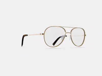 York Eyeglasses in Polished Gold 3D model