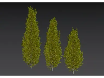  Evergreen arbor 3D model