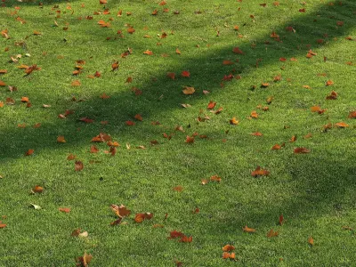 lawn with leaves 2 3D model