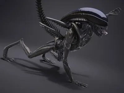  Alien Xenomorph High Detail 
