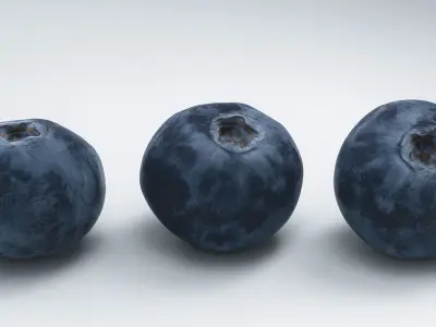 Blueberry 3D Low-poly 3D model