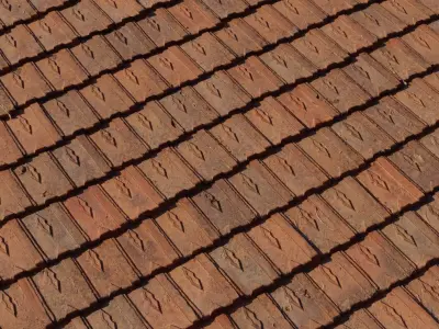 Victorian Clay Shingle Roof  Texture