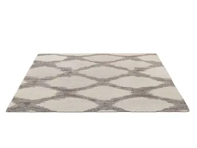 RANA HAND-KNOTTED WOOL RUG 3D model