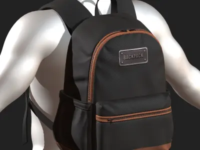 Backpack Camping bag baggage Color 3d low poly  Low-poly 3D model purchase
