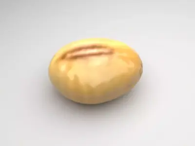 Soybean 3D model