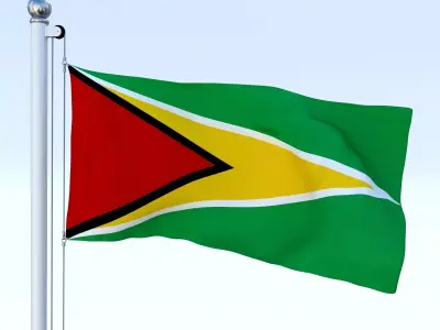 Animated Guyana Flag Low-poly 3D model