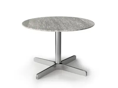 DS 343 61 and DS 343 62 Coffee Tables 3D model